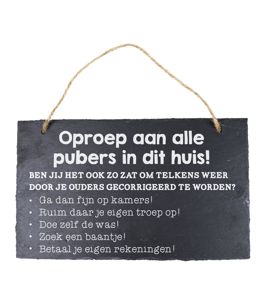 25 Leisteen bord Pubers