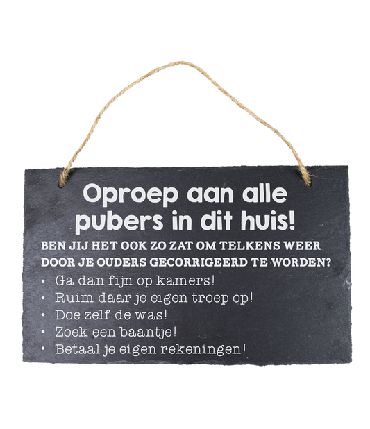 25 Leisteen bord Pubers